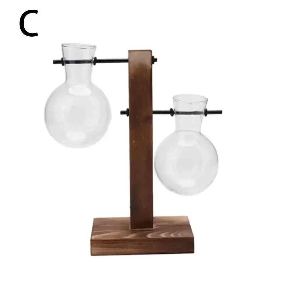 Clear glass avocado seed starter trio kitchen grow vases