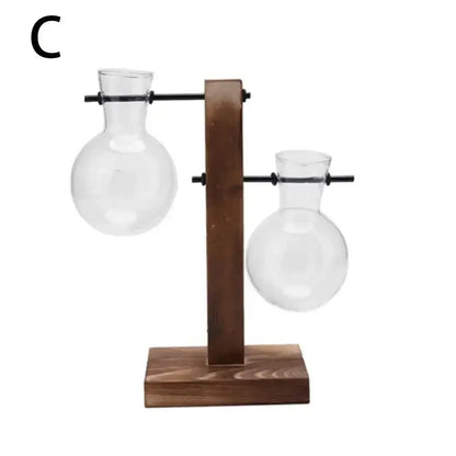 Clear glass avocado seed starter trio kitchen grow vases