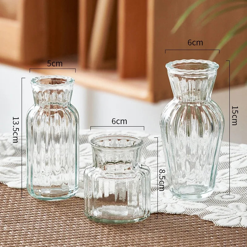 DecorBites™ Transparent Nordic Vase for Plants and Flowers