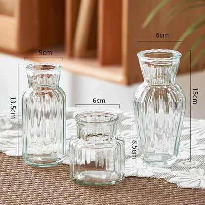 DecorBites™ Transparent Nordic Vase for Plants and Flowers