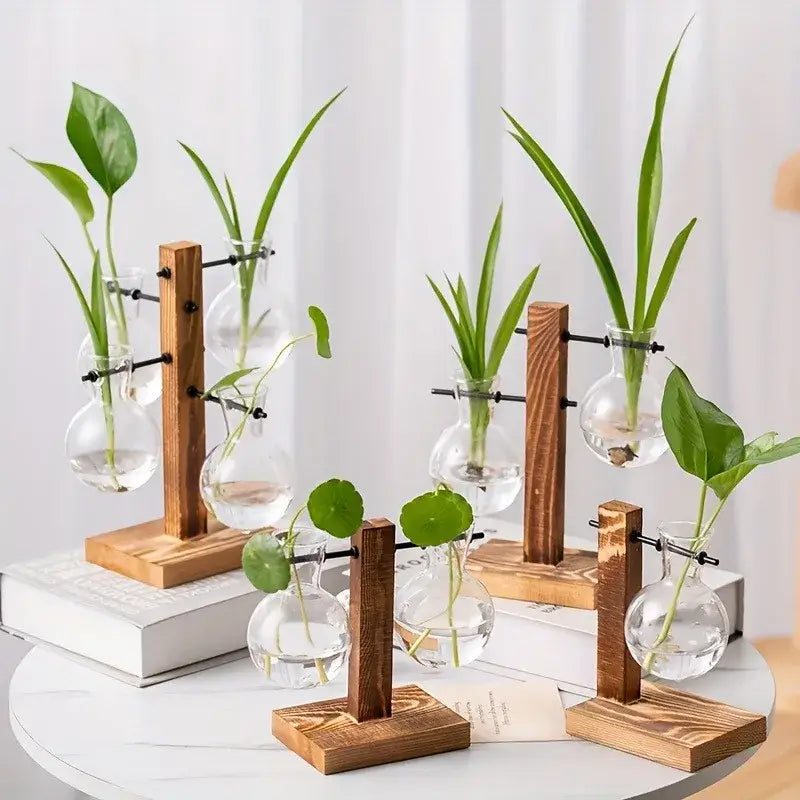Vintage wood and two bulb vases desktop office plant propagation station