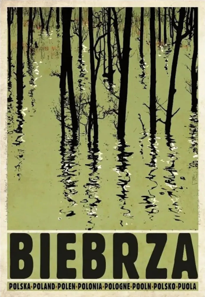 Vintage poland city posters olive green canvas art living room decor