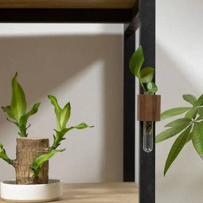 DecorBites™ Wooden Magnetic Test Tube Vase for DIY Flower Arrangement