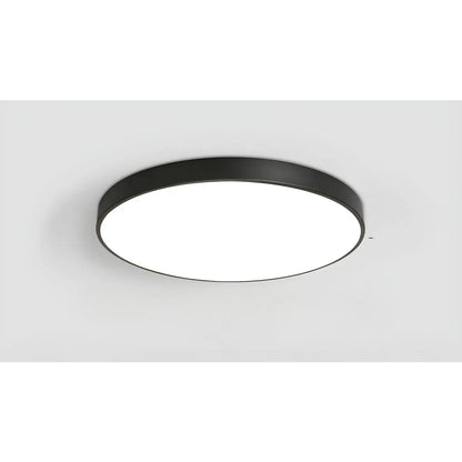 Dimmable Smart Ceiling Lamp with Remote - Bedroom & Living Room LED Light