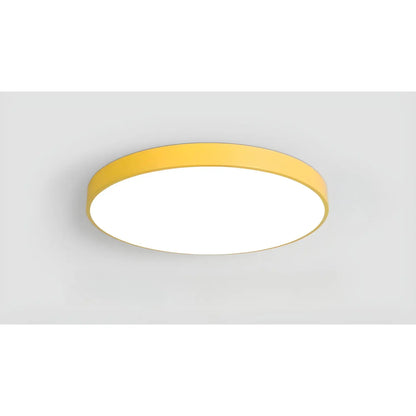 Dimmable Smart Ceiling Lamp with Remote - Bedroom & Living Room LED Light