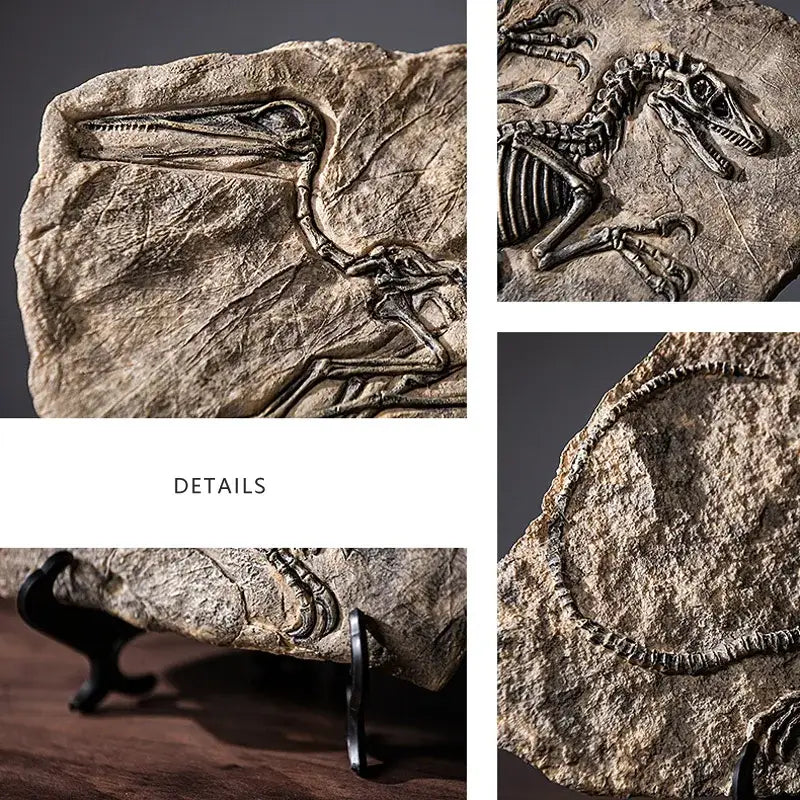 Dinosaur fossil resin craft sculpture office desk decor