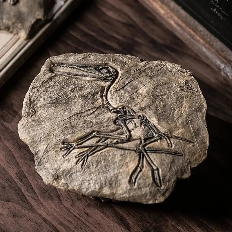 Dinosaur fossil resin craft sculpture office desk decor