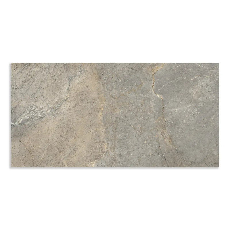 Earth Matte Porcelain Tiles 12x24