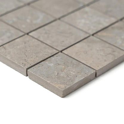 Earth Natural Matte Straight Joint 2x2 Porcelain Mosaics 12x12