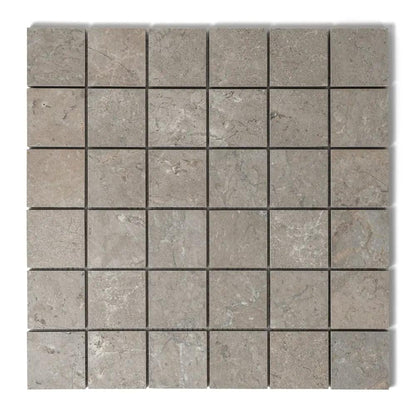 Earth Natural Matte Straight Joint 2x2 Porcelain Mosaics 12x12