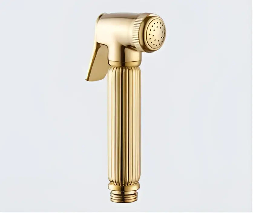 Elegant gold & silver handheld bidet sprayer set – bathroom kit