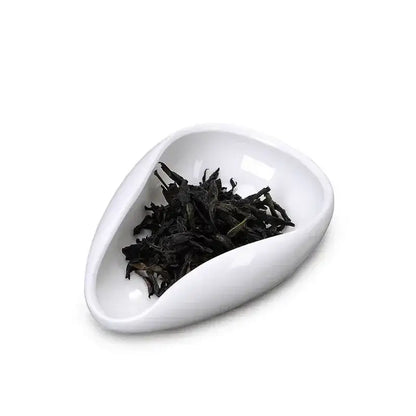 Elegant white ceramic dose trays and tea spoon set for kitchen