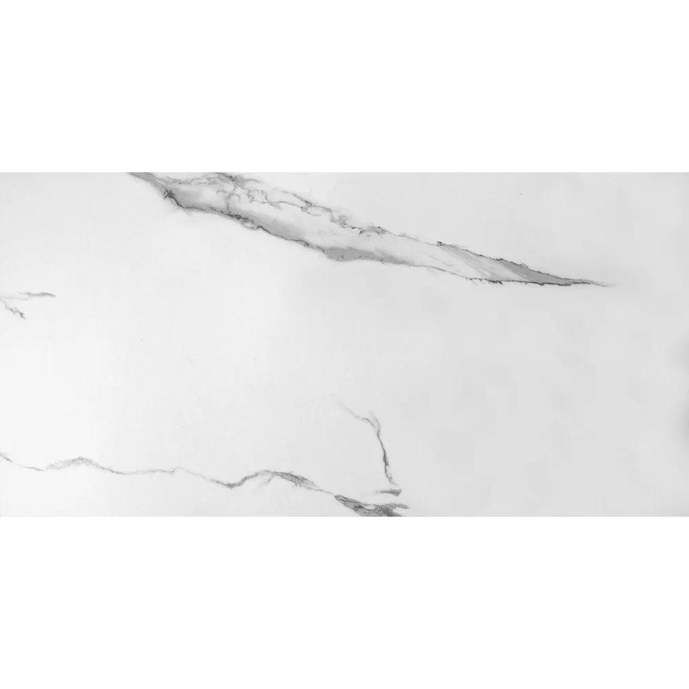 Estatuario Matte Marble Look Porcelain Tiles 24x48