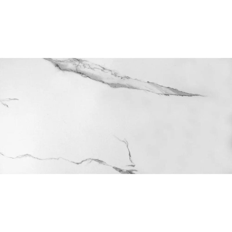 Estatuario Matte Marble Look Porcelain Tiles 24x48