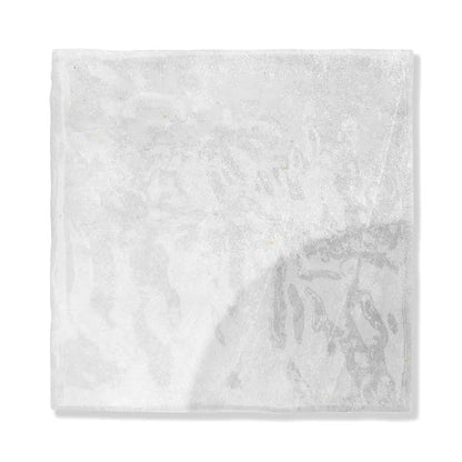 Forge Glossy Ceramic Accent Tiles 5x5