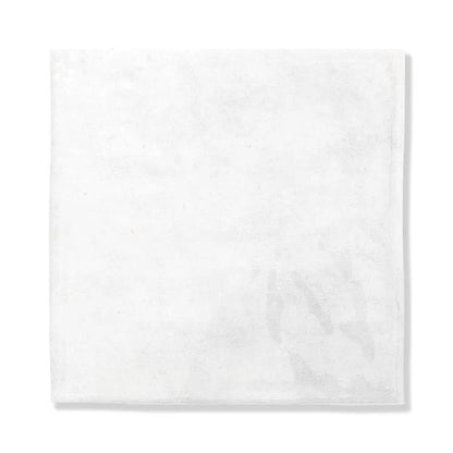 Forge Glossy Ceramic Tiles 5x5