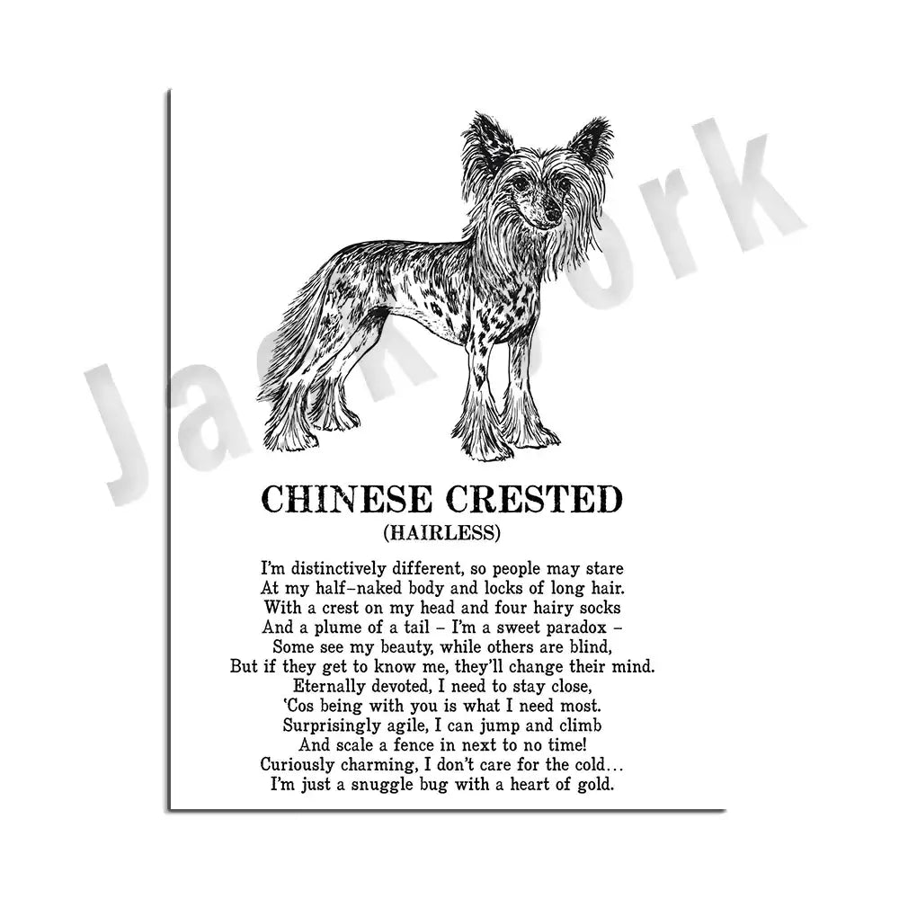 Framed black and white dog breeds poster set bedroom wall art