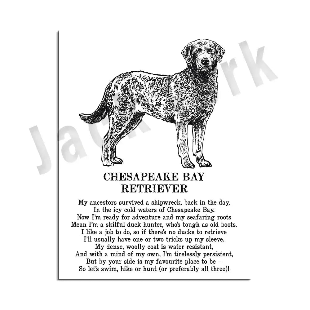 Framed black and white dog breeds poster set bedroom wall art