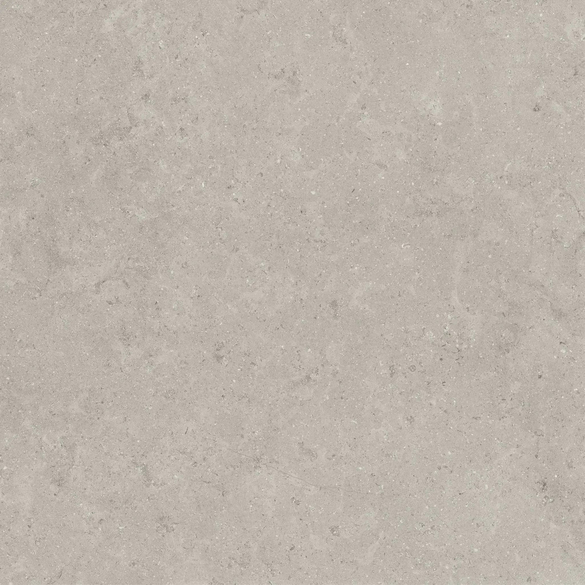 Frontier20 Ash Coping & Stair Tread Corner Left Bullnose Limestone Look Porcelain Moldings 12x24