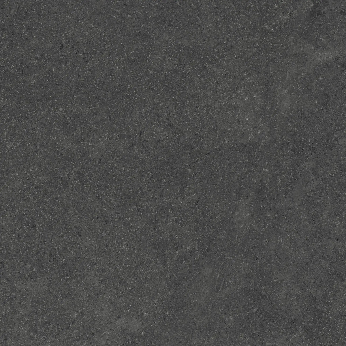 Frontier20 Charcoal Double Mesh Limestone Look Porcelain Moldings 24x24