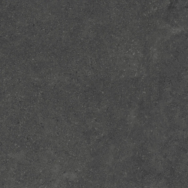 Frontier20 Charcoal Double Mesh Limestone Look Porcelain Moldings 24x24