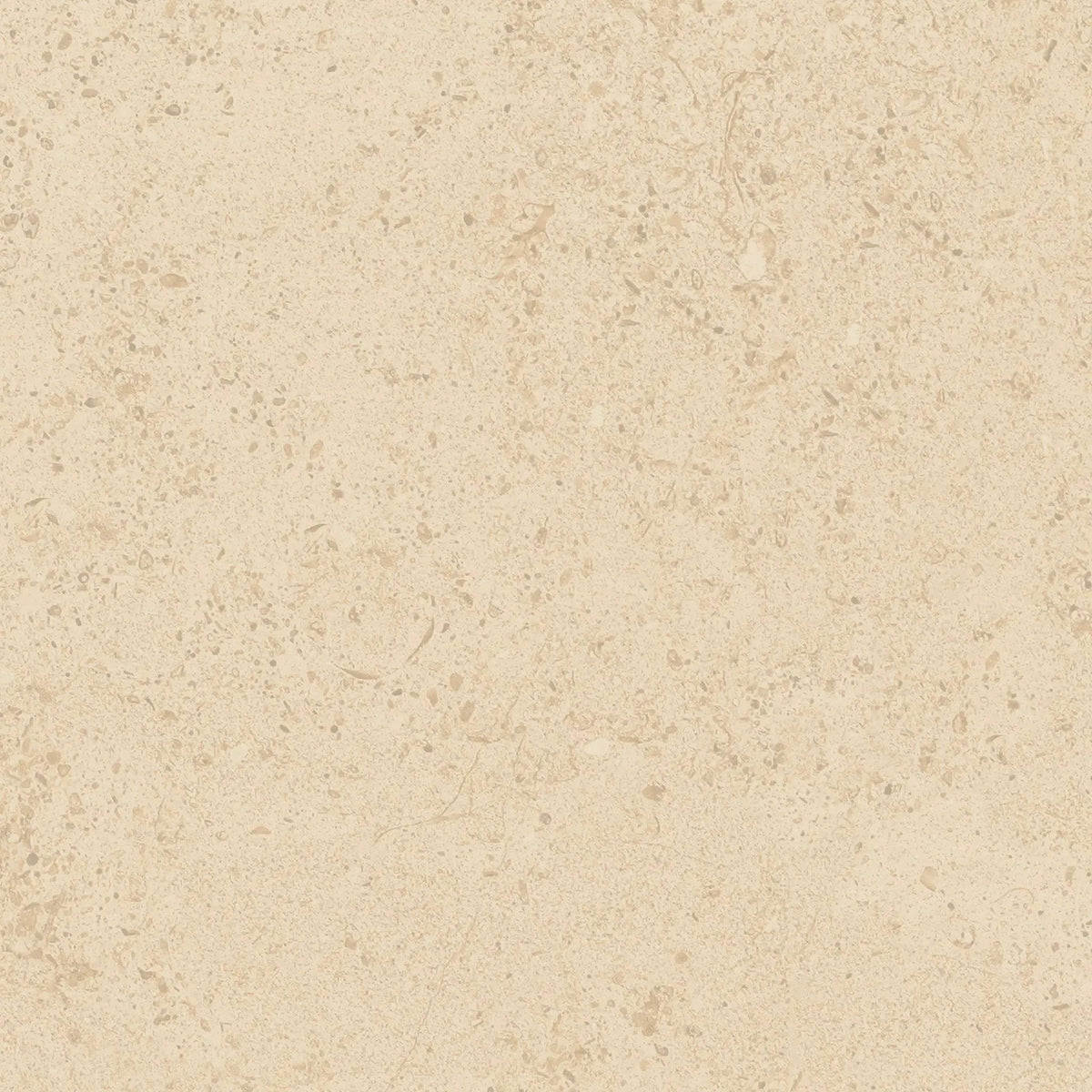 Frontier20 Dune Limestone Look Porcelain Pavers 12x12