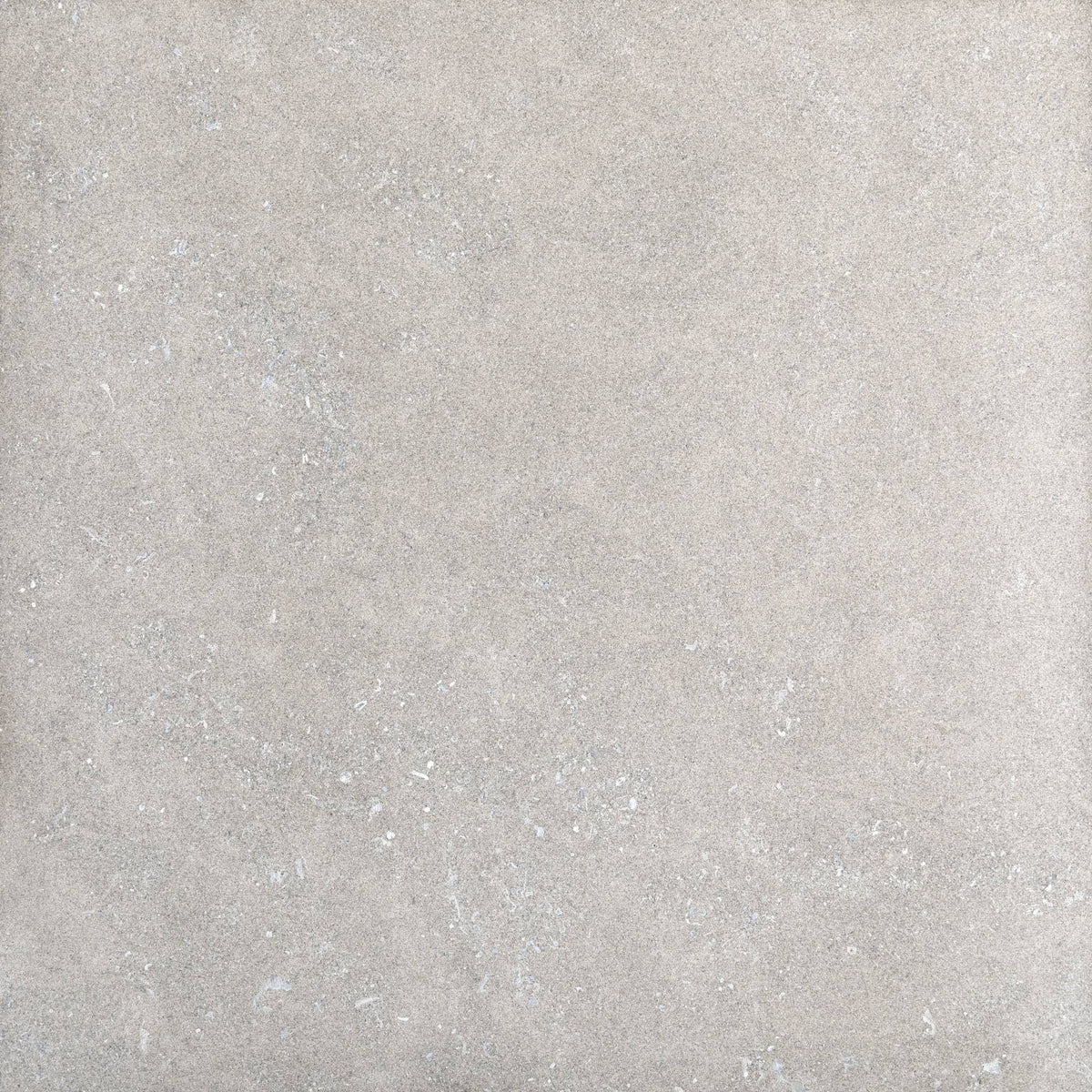 Frontier20 Indiana Variegated Fr20 Double Mesh Limestone Look Porcelain Moldings 24x24