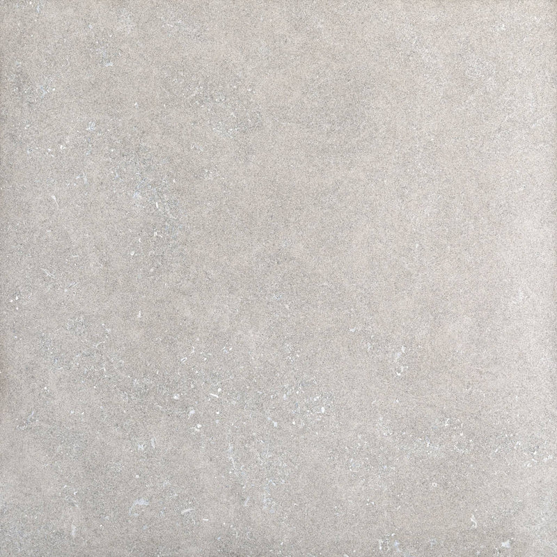 Frontier20 Indiana Variegated Fr20 Double Mesh Limestone Look Porcelain Moldings 24x24