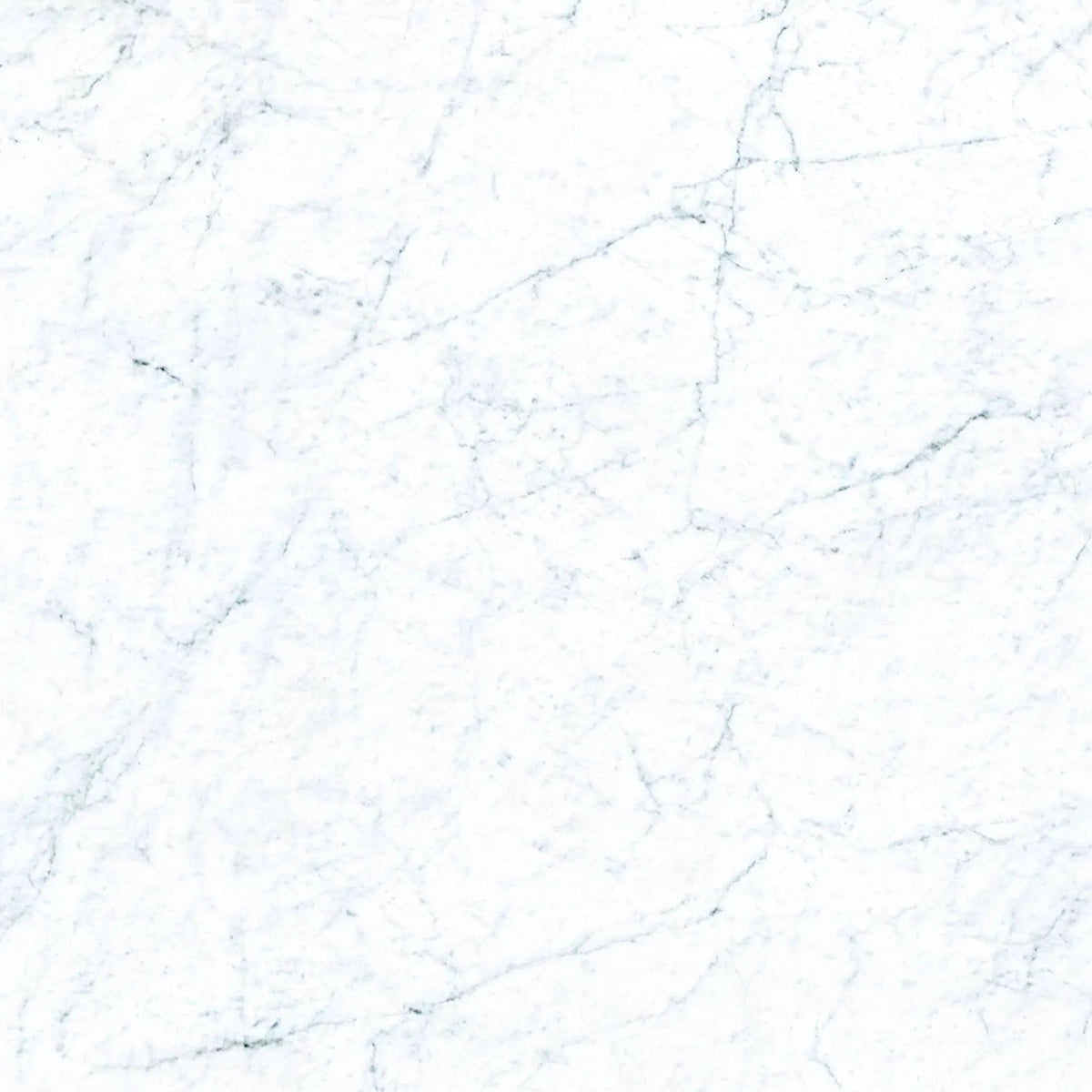Frontier20 Michelangelo Extra White Marble Look Porcelain Pavers 24x24