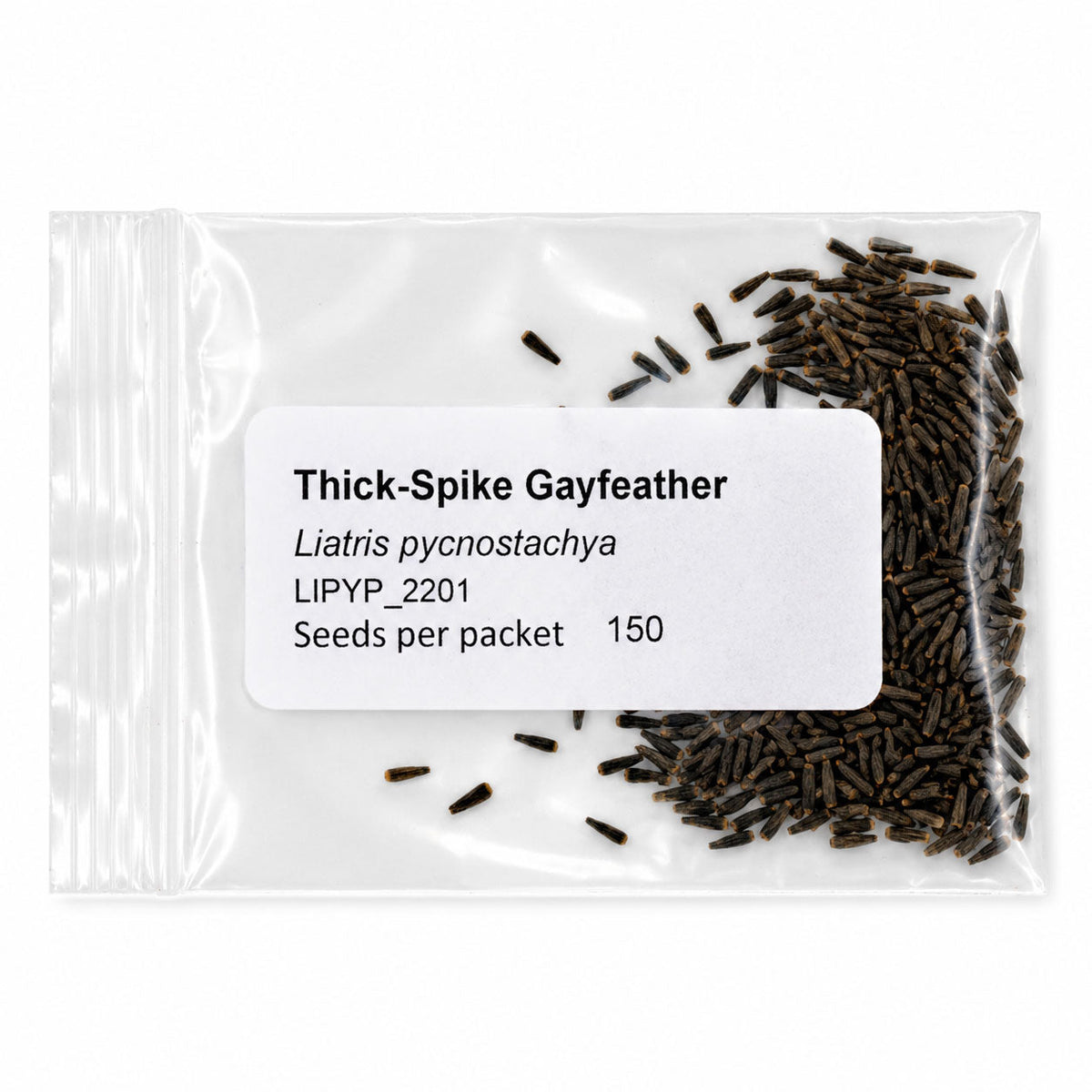 Mini Native Tall Hummingbird Seed Mix | Prairie Legacy Inc.