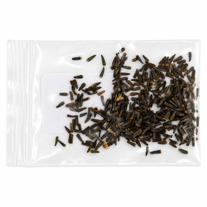 Mini Native Tall Hummingbird Seed Mix | Prairie Legacy Inc.
