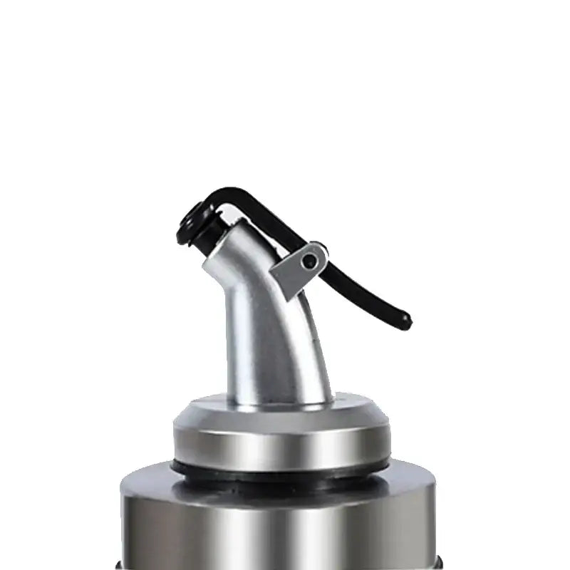 Glass seasoning dispenser bottle with stainless spout kitchen storage