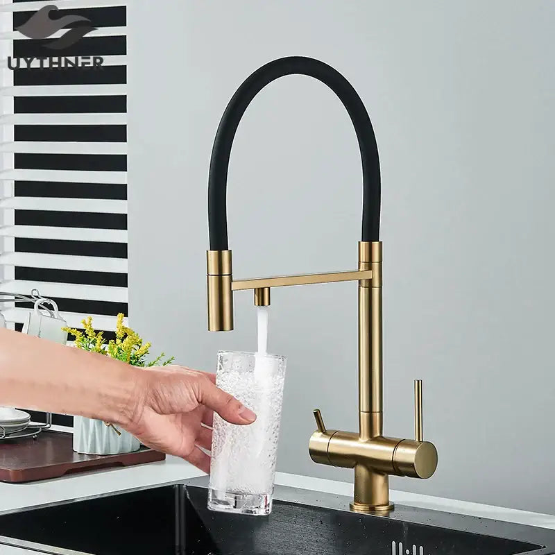 Gold and black dual spout water purification mixer kitchen tap