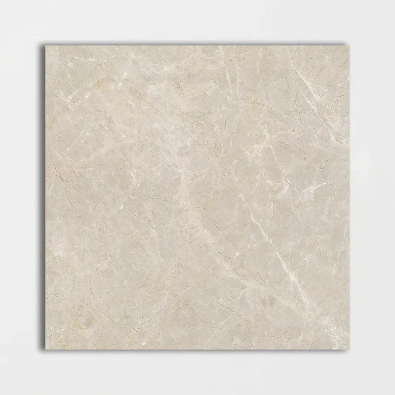Gris Fawn Polished Marble Tiles 24x24
