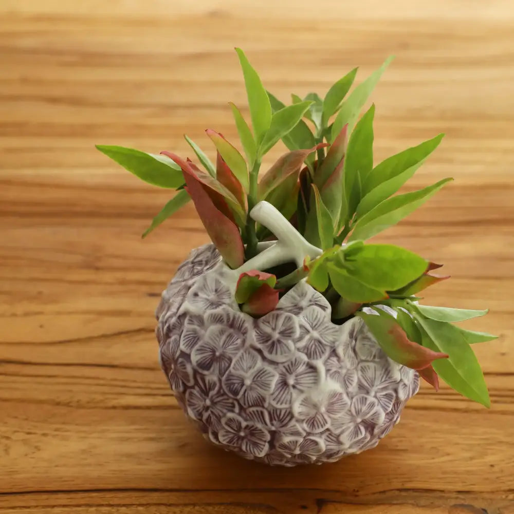 Hand-relief hydrangea ceramic vase grayish-white living room decor