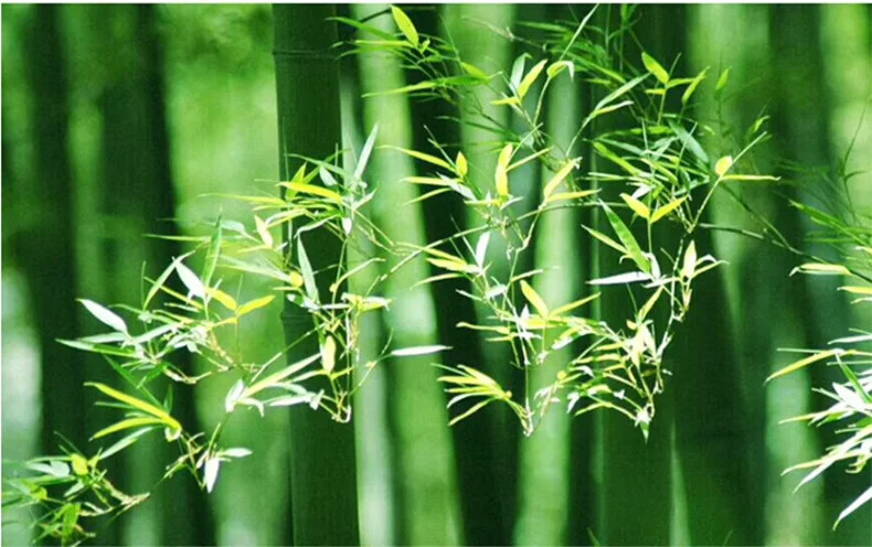 DecorBites™ Handcrafted Chinese Bamboo Pendant Lamp