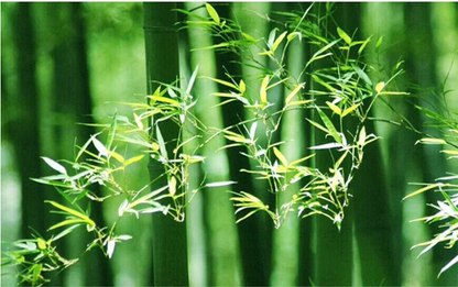 DecorBites™ Handcrafted Chinese Bamboo Pendant Lamp