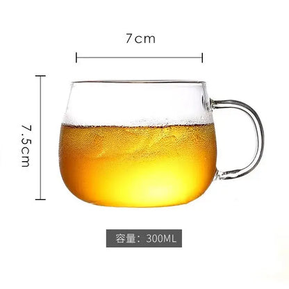 Heat resistant glass pitcher water carafe with stainless lid kitchen