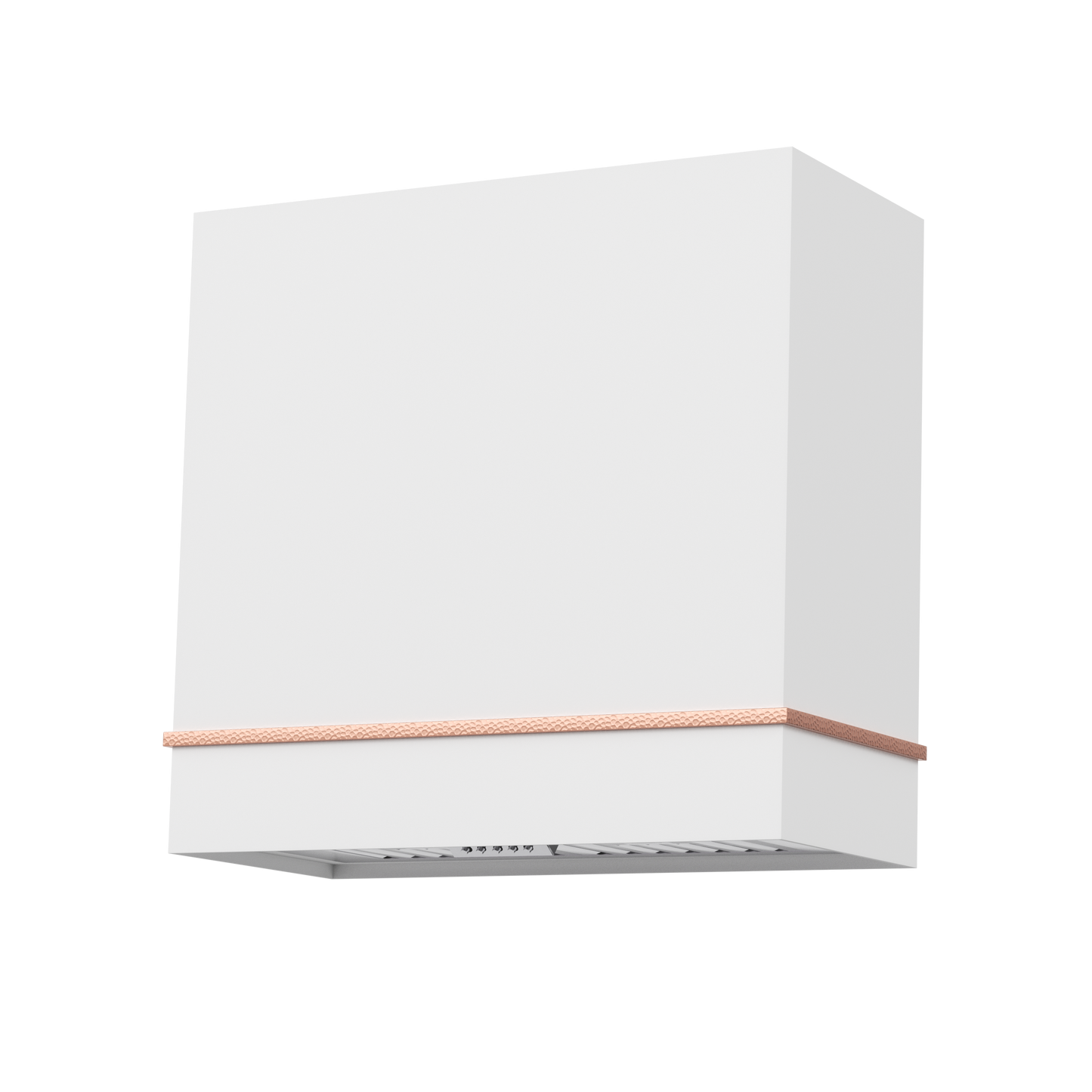 Akicon 30" Stainless Steel Wall Mount Range Hood with 600 CFM Vent Hood
