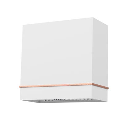 Akicon 30" Stainless Steel Wall Mount Range Hood with 600 CFM Vent Hood