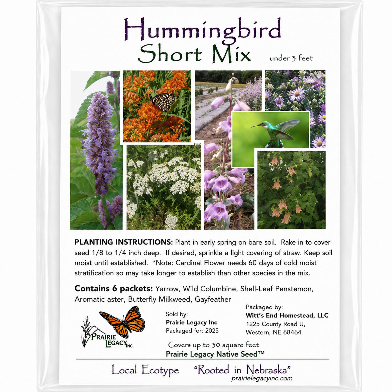 Hummingbird Wildflower Bundle | Tall & Short Mini Mixes | Prairie Legacy Inc.