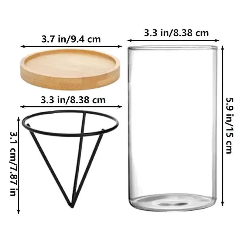 Modern clear glass hydroponic avocado planting set kitchen decor