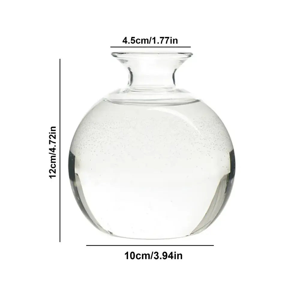 Clear glass avocado seed vase set of 4 kitchen hydroponic decor