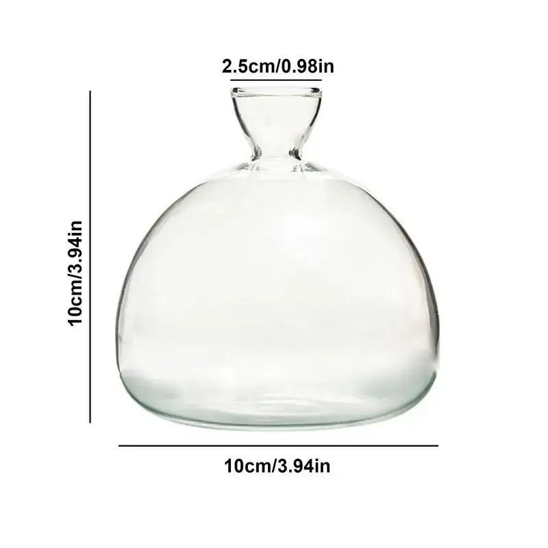 Clear glass avocado seed vase set of 4 kitchen hydroponic decor