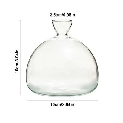 Clear glass avocado seed vase set of 4 kitchen hydroponic decor