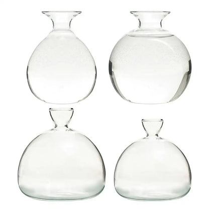 Clear glass avocado seed vase set of 4 kitchen hydroponic decor