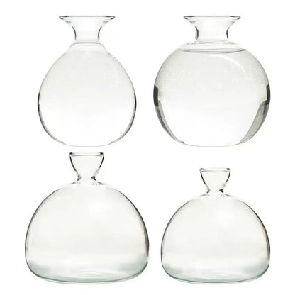 Clear glass avocado seed vase set of 4 kitchen hydroponic decor