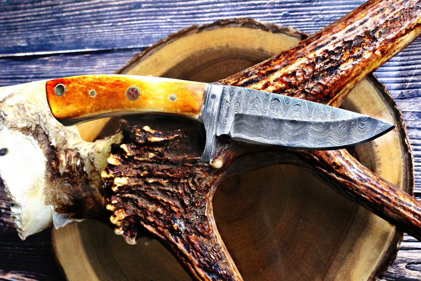 Damascus Steel Fixed Blade hunting Knife with Damascus Hilt Titan Drop Point Hunter TD-077