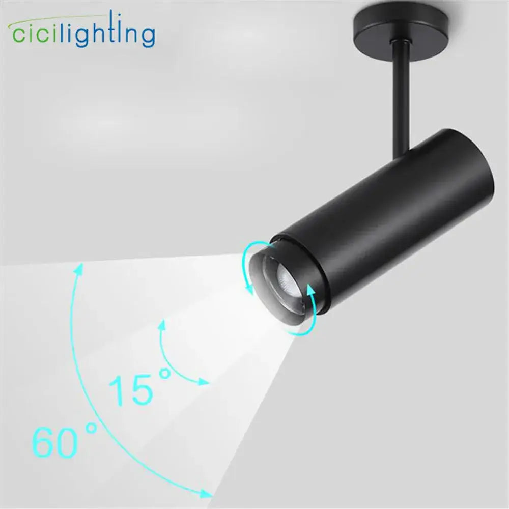Industrial black adjustable focus track spotlights living room light