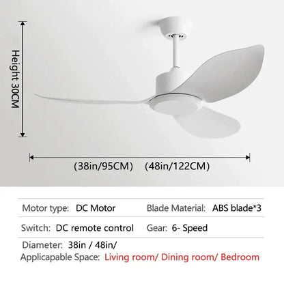 Industrial black & brown remote control ceiling fan bedroom